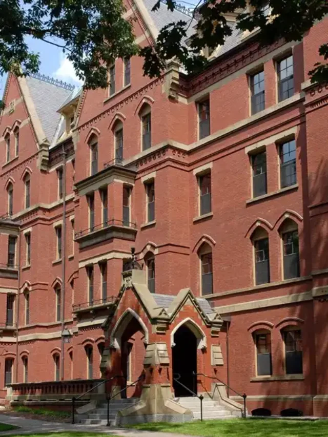 Cursos online com certificado de Harvard